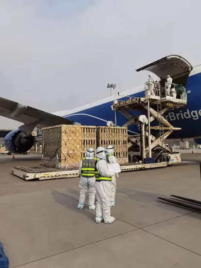 European cattle genetics selection