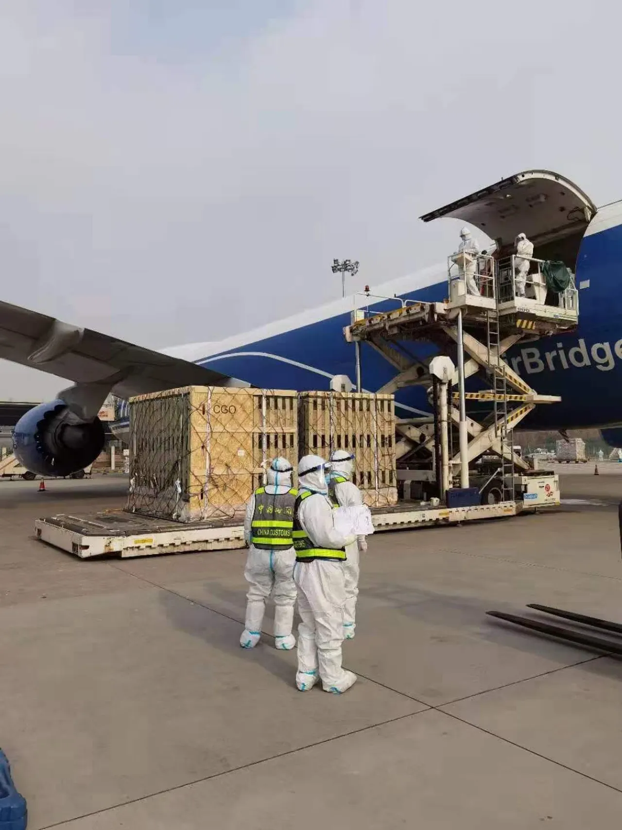 European cattle farm selection visit